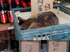 伴侣 “出轨” ？千万不要查这些地方